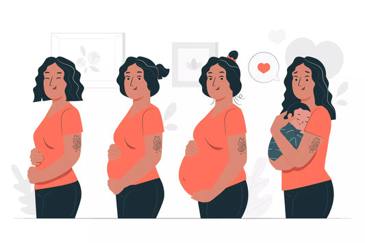Micronutrition pour les femmes enceintes et allaitantes