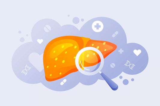 foie dessin loupe