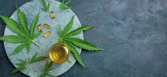 Comment fonctionne le CBD ? Tout savoir sur le CBD