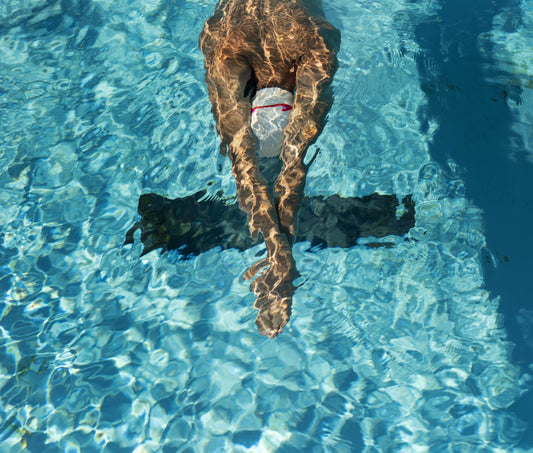 Natation bassin