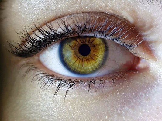 oeil vert marron femme