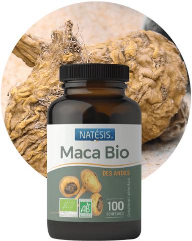 Maca-Bio.png Maca-Bio.png