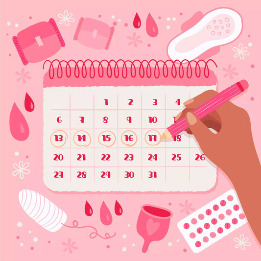 Calendrier cycle menstruel