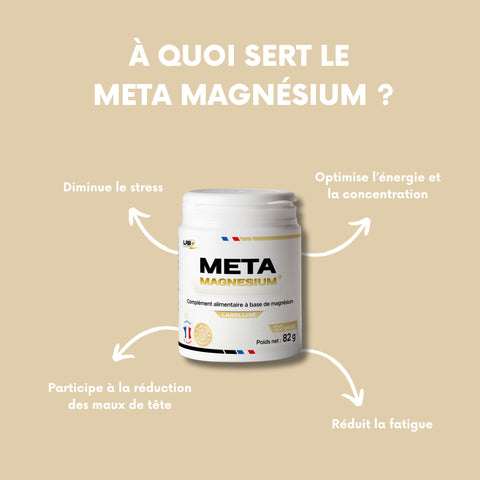 Meta Magnesium - Labz Nutrition 100caps