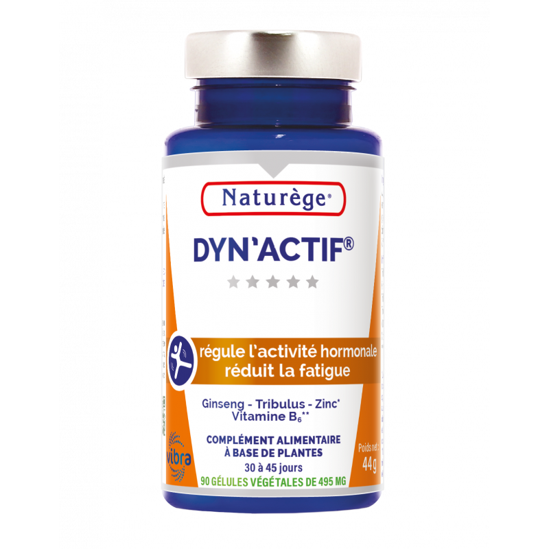 DYN'ACTIF - Energie Tonus Vitalité - Naturège - 45g