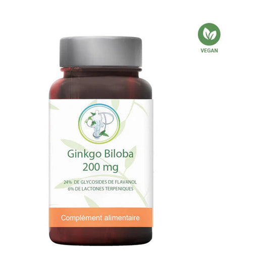 Ginkgo Biloba - Planticinal