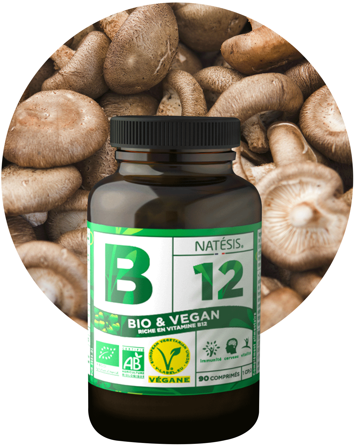 B12-vegan.png