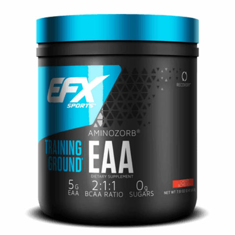 EAA-EFX.jpg