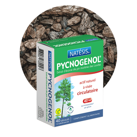 Pycnogénol